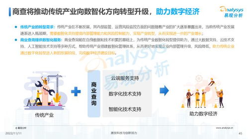 透視用戶需求，深挖服務(wù)潛力 2022中國商業(yè)查詢行業(yè)洞察